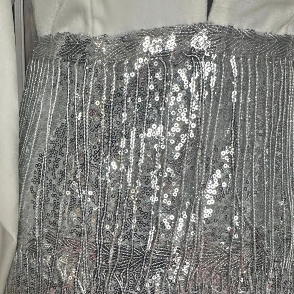 Double Crazy White Velvet Silver Sequin Fringe Mini Dress Women’s Size S - Picture 6 of 11